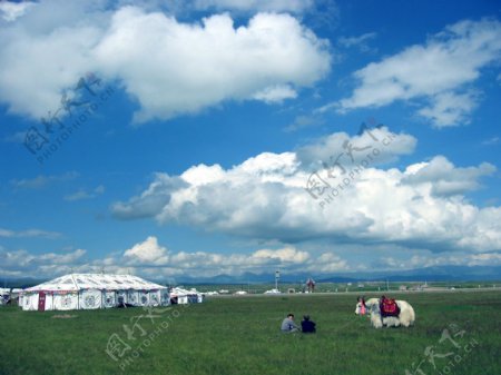 蒙古草原图片