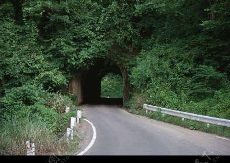 小隧道图片