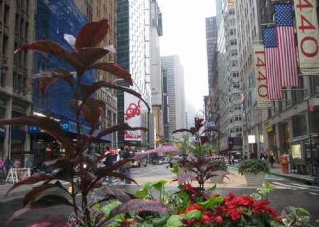 纽约曼哈顿百老汇大街街景图片