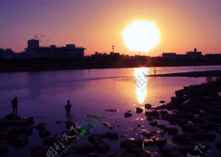 多摩川的落日图片