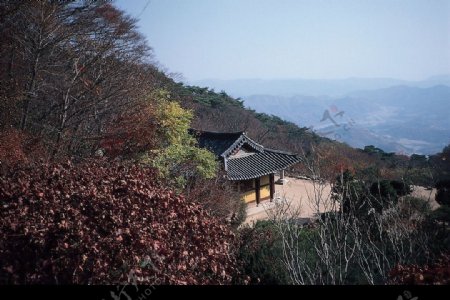 韩国19图片