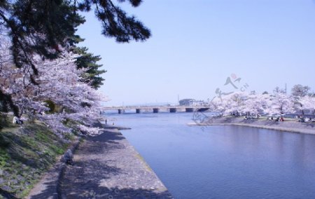 日本宇治川图片