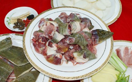 黎法水库甲鱼图片