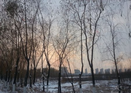 秦皇岛雪景黄昏图片
