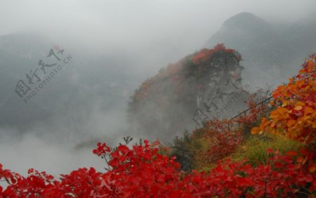 三峡晨雾图片