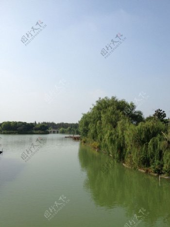 尚湖风景图片