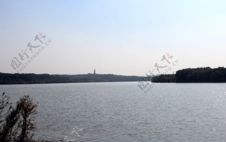 前湖一景图片