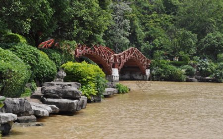 桂林木桥图片