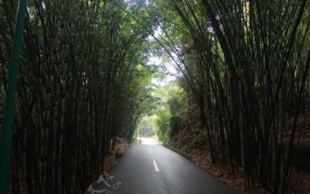 竹海隧道图片