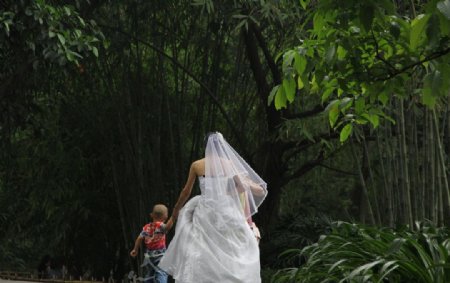 新娘的背影图片