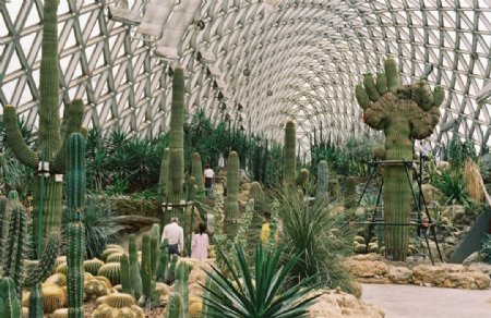 沙漠植物温室图片