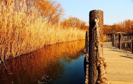 大宁灵石公园湿地图片