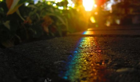雨后的公路彩虹图片