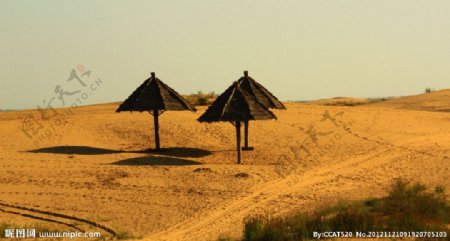 沙漠遮阳伞图片