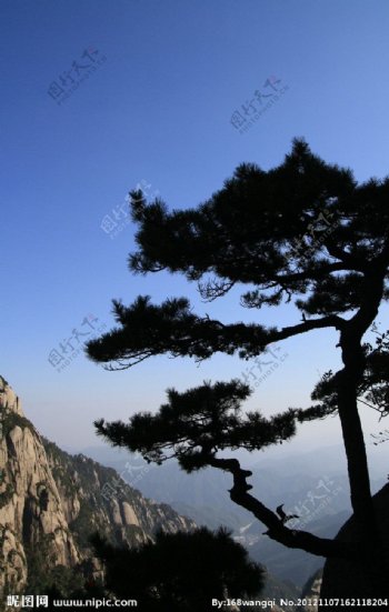 黄山风光图片