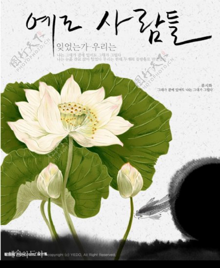 韩国花卉底纹图片