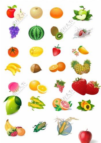 水果图图片