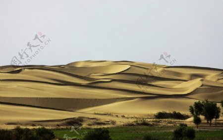 金色沙丘图片
