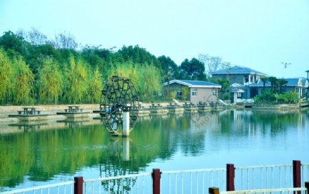 天紫湖风景图片
