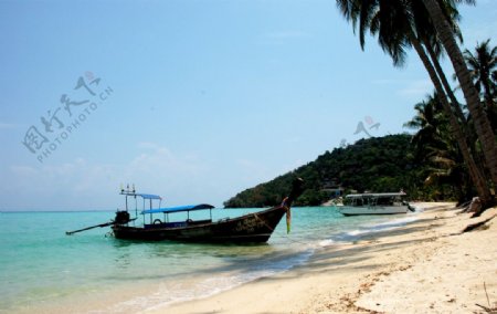 泰国PP岛沙滩图片