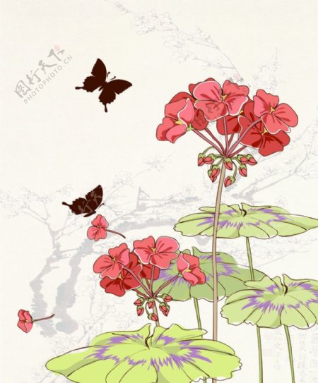 花引蝶图片