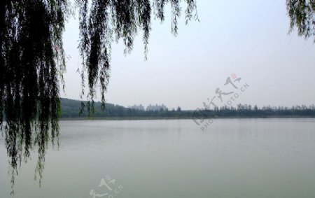 湖面水面图片