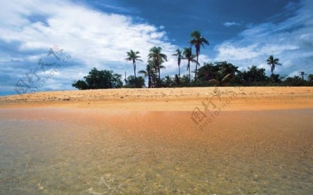 加勒比海沙滩的风景图片