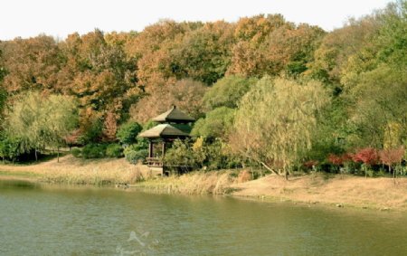 琵琶湖秋色图片