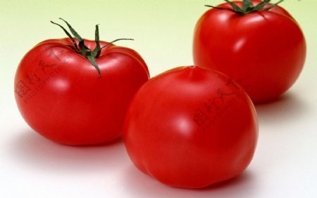 高清晰西红柿图片