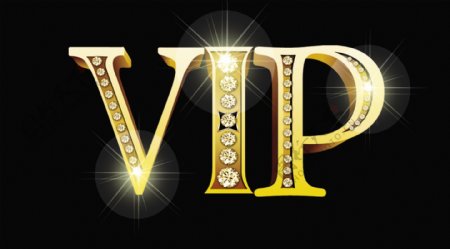 VIP金属字图片