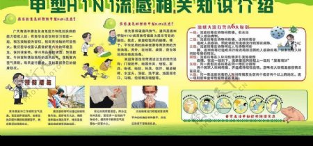 H1N1猪流感展牌图片