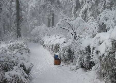 瓦屋山雪景图片