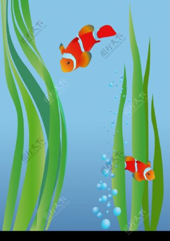 鱼类插图背景图片