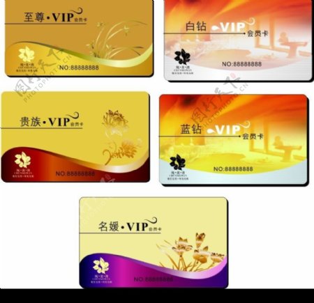 五款好看的VIP卡图片
