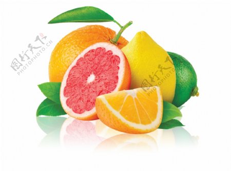 柑橘橙子柠檬图片