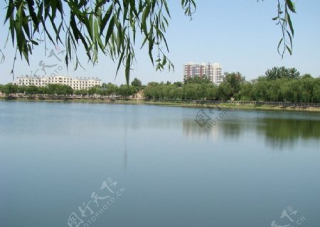 雄县温泉湖景观图片
