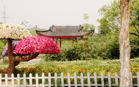 扬州景色图片