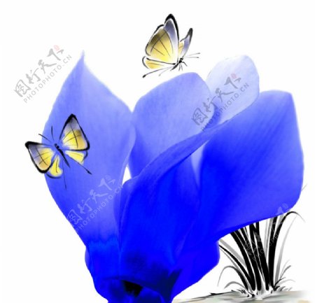 装饰画蓝色花朵图片