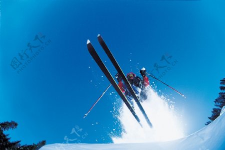 滑雪极限图片