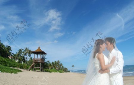 浪漫的海边婚纱摄影图片
