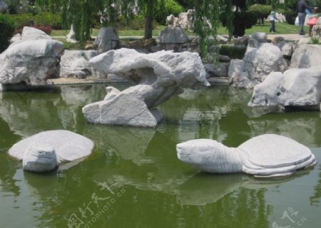 公园里的石雕乌龟图片