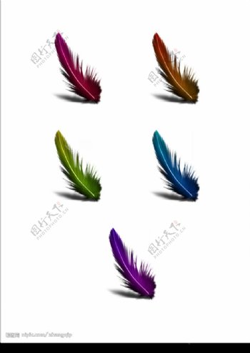 彩色羽毛系列图标此图为位图图片