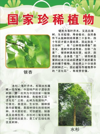 国家珍稀植物图片