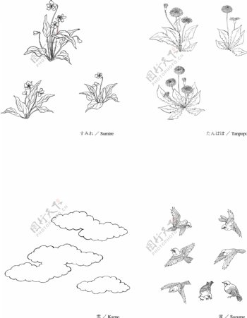 线描植物花卉图片