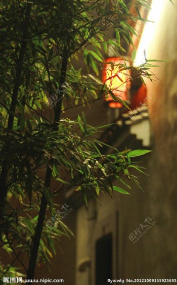 竹与灯笼图片