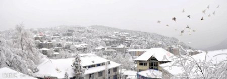 庐山雪景全景图图片