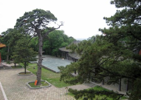沈阳东陵公园图片