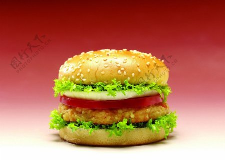 汉堡热狗三明治图片
