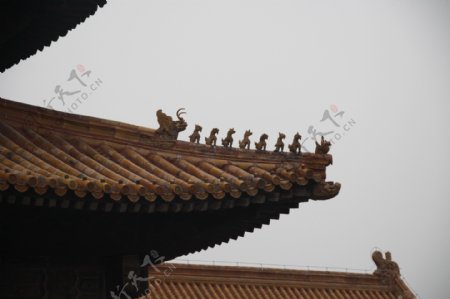 北京故宫屋顶雕刻图片