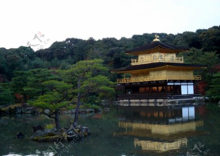 京都金閣寺图片